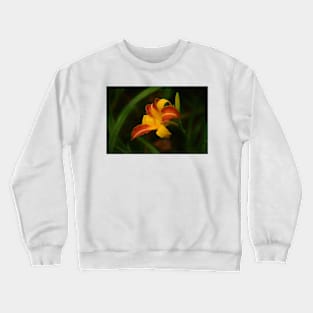 Evelyn Crewneck Sweatshirt